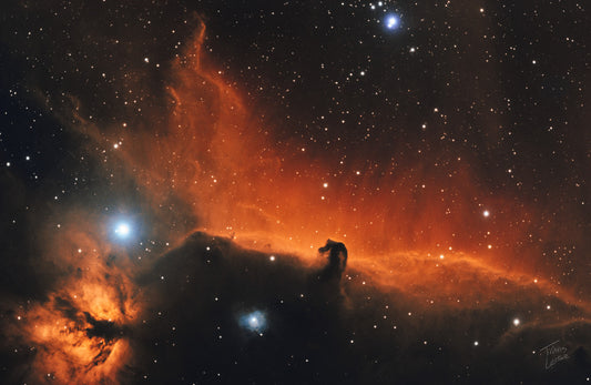 The Horsehead and Flame Nebula