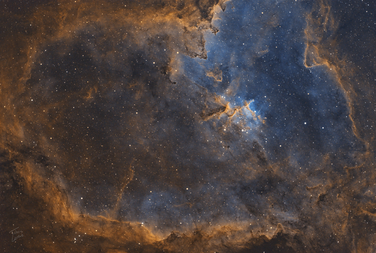 The Heart Nebula