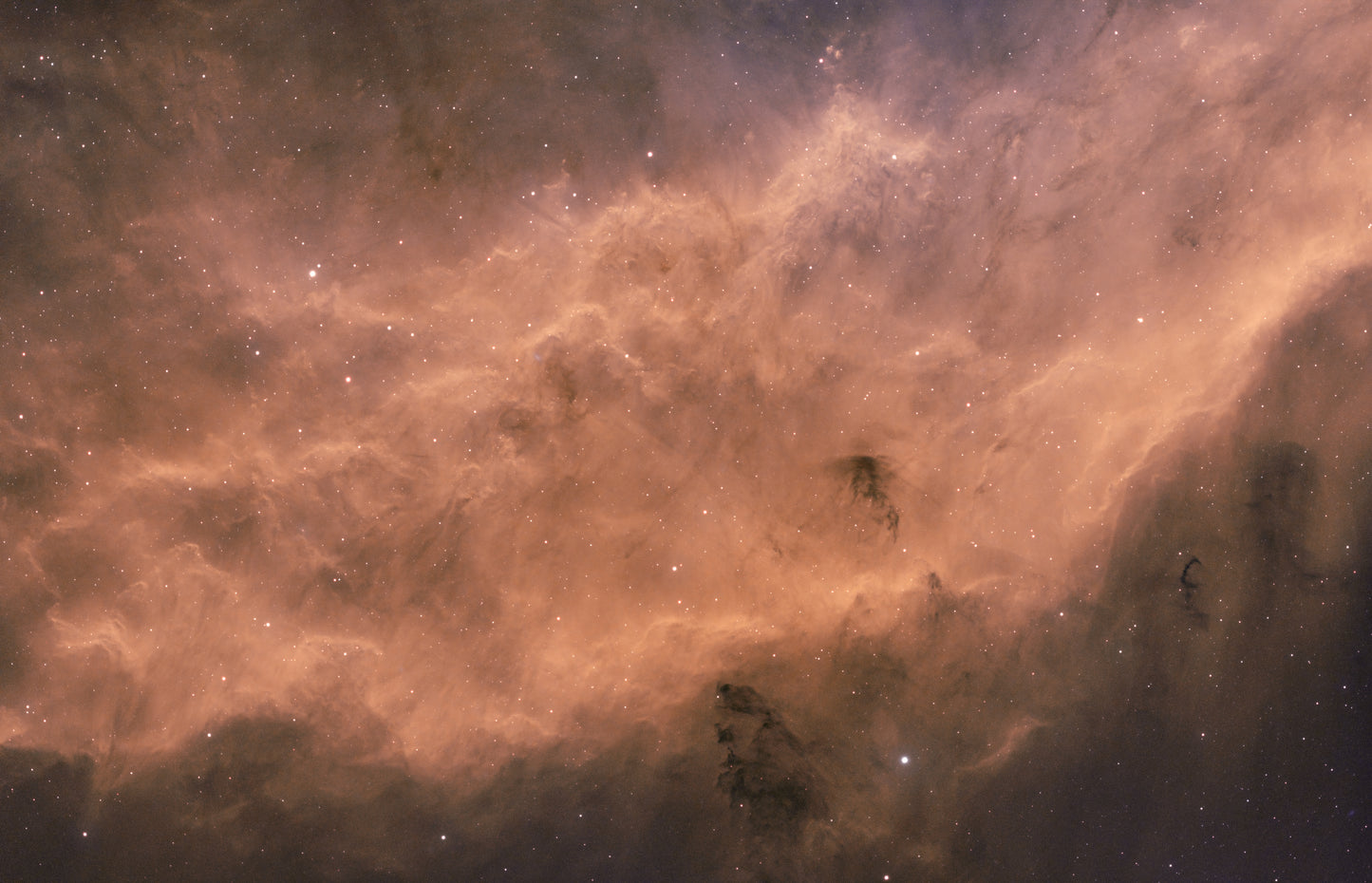 The California Nebula